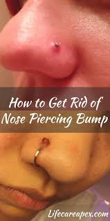 Know more about nose piercing infection that won't go away and more about nose piercing keeps getting infected, how to clean an infected nose persistent pain and aching. New Free Of Charge Nose Piercings Infection Tips Any Cosmetic Piercing Creates A Strong Report Along With Piercing Bump Nose Piercing Care Nose Piercing Bump