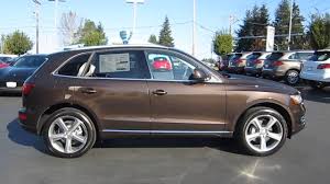 Image result for Maya Brown 2014 Q5