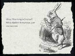 Alice In Wonderland Quote Alice How Long Is Forever White Rabbit Sometimes Just One Secon Alice And Wonderland Quotes Wonderland Quotes Alice In Wonderland