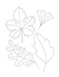 Printable fall coloring pages for seniors. Easy Fall Coloring Pages For Toddlers Preschoolers Kids Seniors Or Adults Who Love Autumn Thanksgiving Cra Fall Coloring Pages Coloring Books Coloring Pages