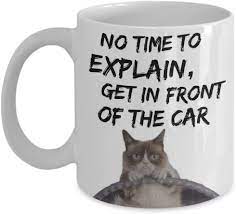 Amazon Com Grumpy Cat Meme Mug Funny Grumpy Cat Mug No Time To Explain Get In Front Of The Car Grumpy Cat Gift Mug Kitchen Dining