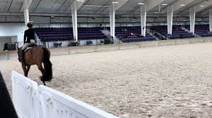 me and wink won the $2000 youth hunter hack and also was 🥇 in the WHUS  yesterday!