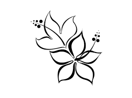Black And White Tattoo Stencil Designs Black White Hibiscus Tattoo Designs Hibiscus Flower Tattoos Simple Flower Drawing Gladiolus Flower Tattoos