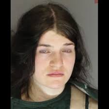 Carlisle Woman Faces Multiple Charges Following Domestic Incident