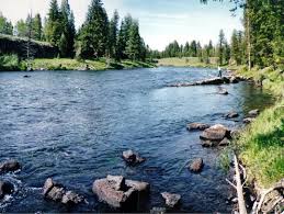 Not the target species but i'll take it. Henrys Fork Snake River Tributary Wikipedia