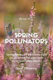 Check spelling or type a new query. The 10 Best Early Spring Flowers For Pollinating Insects