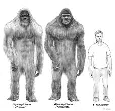 Let it snow man wreath bumble monster. Abominable Snowman Real Or Not Mandy Eve Barnett S Blog For Readers Writers