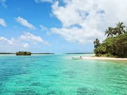 Le pays est géographiquement plutôt isolé du reste du. Des Relations Privilegiees Entre La Nouvelle Zelande La Nouvelle Caledonie New Zealand Services