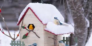 Construire la parfaite cabane à oiseaux doit répondre à certaines normes de construction et d'installation : Fabriquer Une Cabane Pour Les Oiseaux Marie Claire
