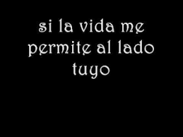 Chayanne Yo Te Amo Letras Song Lyrics Love You Spanish Music