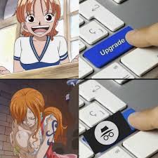 Evolution of Nami summed up : rMemePiece