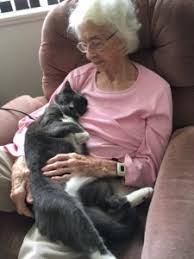 My cat stopped licking her belly for a couple months and then started again. Thoughts For Thursday Cats That Detect Illness In Humans Catscapades