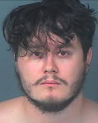 Spring Hill Man Sentenced to Three Years in Prison for Child Pornography  Charges