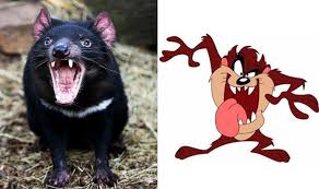 20 best shut up i'm still talking images on. Man Sues Father In Law For Terrorizing Him With Warner Bros Cartoon Character Taz The Tasmanian Devil India Com