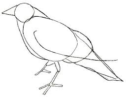 How To Draw A Crow Draw Step By Step Crows Drawing Crow Painting Bird Drawings