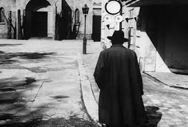 Resultado de imagen para fresas salvajes