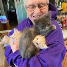 Patricia Hatch Obituary (1946