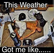 Friendship quotes love quotes life quotes funny quotes motivational quotes inspirational quotes. Funny Hot Weather Memes
