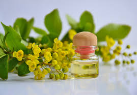 The True Power Of Essential Oils My Space Reclaimed Alerjiler Temel Yaglar Badem Yagi Sac