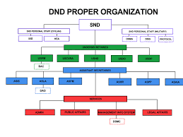 dnd organizational structure