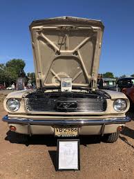 Image result for Sahara Beige 1966 Mustang