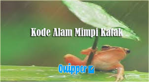 Buku mimpi erek erek binatang 2d lengkap dengan gambar dan teks abjad atau kode alam 2 angka hewan. Kode Alam Mimpi Katak 2d 3d 4d Primbon Erek Erek