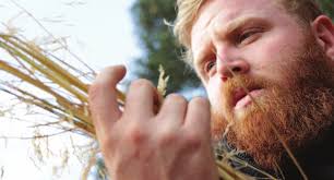 Arundo wasp established in Central valley 4 weeds in our National Parks 5  inclusion in conservation 7 2020 Cal-iPC symposium