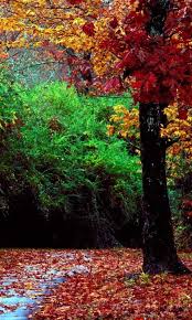 Likeforlikes Followme Pink Happy Anime Vsco Instadaily Ootd Insta S Wedding D Picoftheday Colorful Landscape Autumn Landscape Landscape Wallpaper