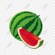 Setiap buah digilap dan di urut dengan kain khusus pembersih wajah 3m nexcare. Buah Tembikai Gambar Unduh Gratis Imej 401181987 Format Png My Lovepik Com