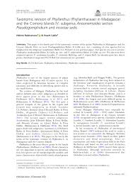 Image result for Phyllanthus bernierianus