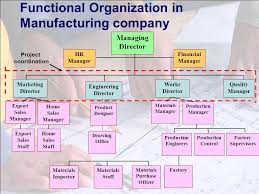 Lecture 2 Project Organizational Structure And Culture Ppt