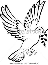 Bird Cartoon Pictures Black And White White Pigeon Stock Illustrations Cartoons Bird Outline Dove Outline Bird Drawings