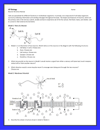 Neuron function pogil answer key. Neuron Function Pogil Answer Key Nervous System Pogil What Are The Essential Structures That Make Up A Neuron Cells Are Specialized For Different Functions In Multicellular Organisms Course Hero Matching
