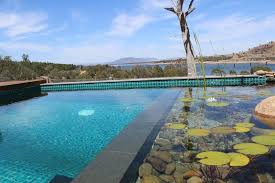 Natural Pools Australia Naturalswimpools Australia Pool Natural Swimming Pool Swimpond Ecopool Biopool Natural Swimming Pools Natural Pool Swimming Pool Pond
