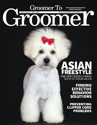 Salon de l'animal de compagnie. 210 Idees De Toilettage De Chiens Toilettage De Chiens Toilettage Chien