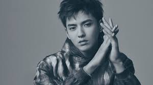 Born 6 november 1990), known professionally as kris wu, is a chinese canadian actor, singer, record producer, and model. Brands Cut Ties With Kris Wu Over Predatory Behaviour Dao Insights