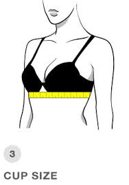 Find your perfect bra size. Fit Matters The Lingerie Bra Guide By Macy S
