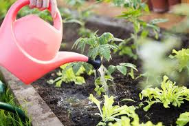 Managed by the state urban horticulture specialist and cooperative extension horticulture agents throughout the state, it is your doorway to guidance about successfully growing vegetables, herbs, fruits, flowers and ornamentals in your landscape. 15 X Gardening Tips For May Fernhill Garden Centre