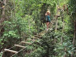 0%0% found this document useful, mark this document as useful. Ponte Jacare Picture Of Conduru Ecoturismo Itacare Tripadvisor