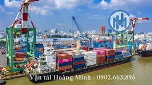 Dịch Vụ Khai Báo Hải Quan Cảng Tân Thuận Uy Tín Nhất