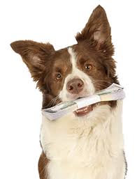 Check spelling or type a new query. Veterinarian In Plano Tx Lancers Square Animal Clinic