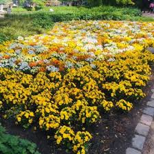 Der japanische garten lebt von den formen der steine, der pflanzen und den wasserstrukturen. Japanischer Garten Teehaus 167 Photos 19 Reviews Parks Planten Un Blomen St Pauli Hamburg Germany Yelp