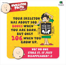Keeps You Puzzling Human Body Fact Fun Facts For Kids Fun Facts Human Body Facts