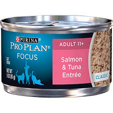 There is no perfect food, because every older cat has its set of problems, wakshlag says. Top 10 Best Cat Foods For Older Cats In 2021 Lifestyle Reviews