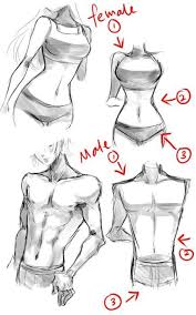 17 Trendy Drawing Anime Female Body Sketch Noodle people is a basic character model made popular by clamp and naoko takeuchi. 17 trendy drawing anime female body sketch