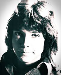 14 Year Old Black Boy Killed In 1950s Pin On David Cassidy