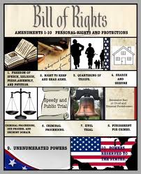 Graphic Constitution Teaching American History Teaching History Social Studies Activities
