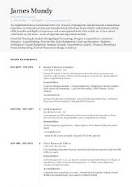 Check out real resumes from actual people. Senior Investment Analyst Cv June 2021