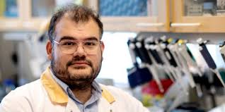 Five researchers receive grants from the Lundberg Foundation