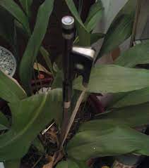 Un archet dans le yucca. Un Archet Dans Le Yucca Home Facebook